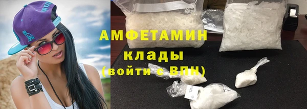 Альфа ПВП Инсар