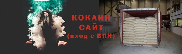 Альфа ПВП Инсар