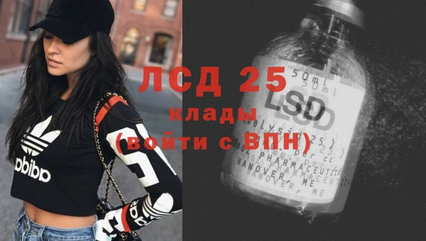 Альфа ПВП Инсар